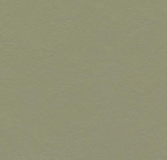 Forbo Marmoleum Walton Cirrus 3355 Rosemary Green Linoleum Sheet Flooring 