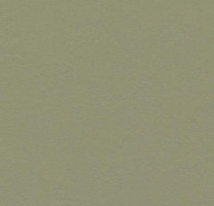 Forbo Walton Solid Sheet Linoleum - Green Design Center