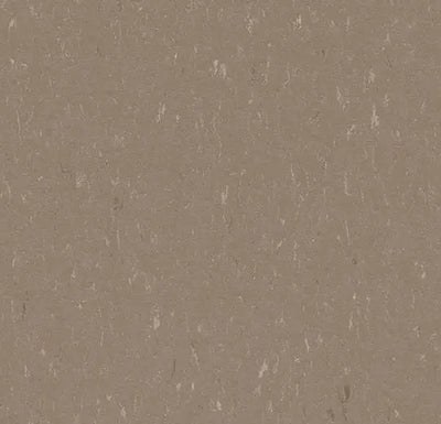 Forbo Marmoleum Piano 3631 Otter Linoleum Sheet Flooring (79" Width)