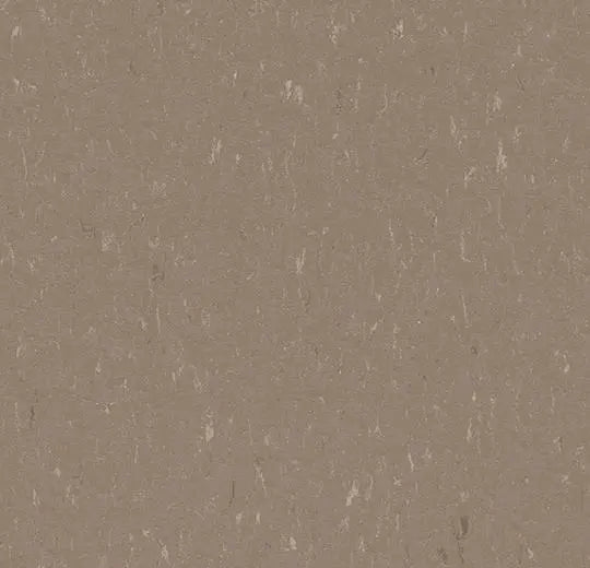 Forbo Marmoleum Piano 3631 Otter Linoleum Sheet Flooring 