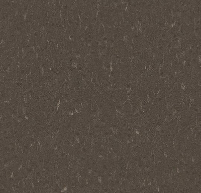 Forbo Marmoleum Piano 3632 Sealion Linoleum Sheet Flooring (79" Width)