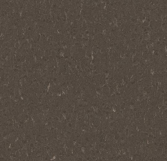 Forbo Marmoleum Piano 3632 Sealion Linoleum Sheet Flooring (79" Width)