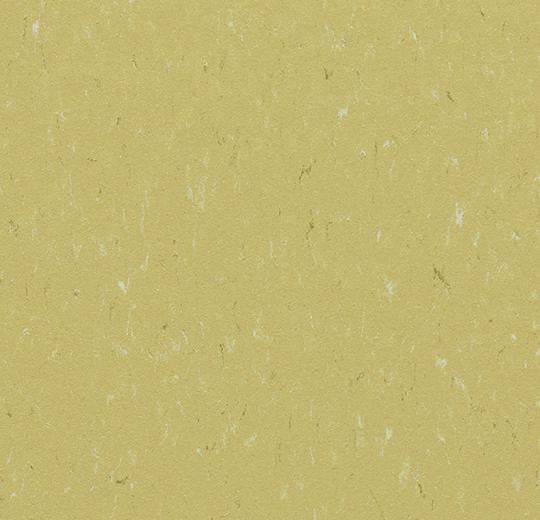 Forbo Marmoleum Piano 3634 Meadow Linoleum Sheet Flooring