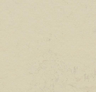 Forbo Marmoleum Concrete 3701 Moon Linoleum Sheet Flooring (79" Width)