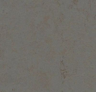 Forbo Marmoleum Concrete 3703 Comet Linoleum Sheet Flooring (79" Width)