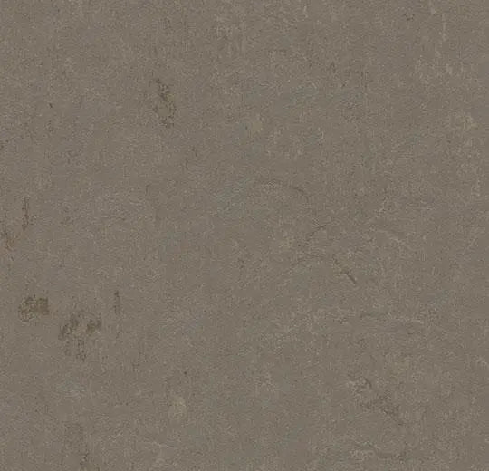 Forbo Marmoleum Concrete 3705 Meteorite Linoleum Sheet Flooring 