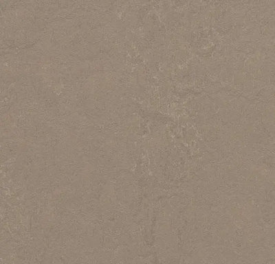 Forbo Marmoleum Concrete 3709 Silt Linoleum Sheet Flooring (79" Width)