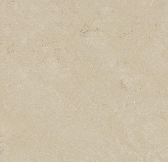 Sample of Forbo 3711 Cloudy Sand