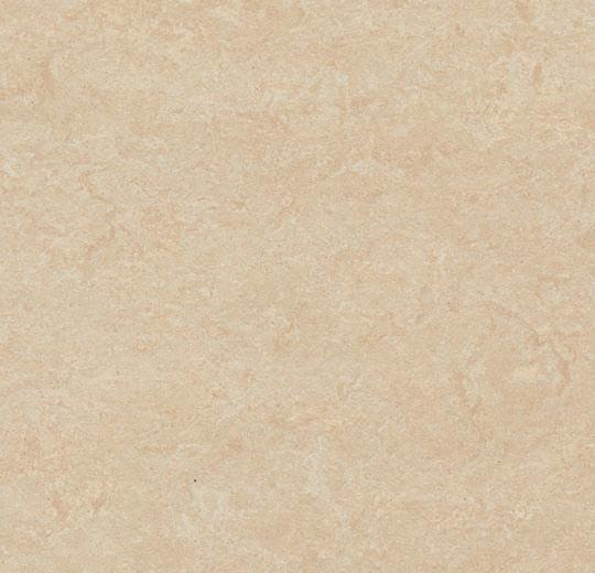 Sample of Forbo 3861 Arabian Pearl