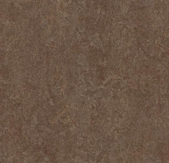 Sample of Forbo 3874 Walnut