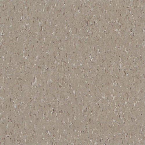 Armstrong Earthstone Greige 51804 Standard Excelon Imperial Texture VCT Floor Tile 12" x 12" (45 Sq. Ft. / box)