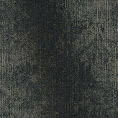 Shaw Biotic 5th & Main 54917-00400 Character 24" X 24" Carpet Tile (80 SF/Box)