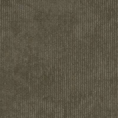 Shaw Biotic 5th & Main 54917-00700 Distinction 24" X 24" Carpet Tile (80 SF/Box)