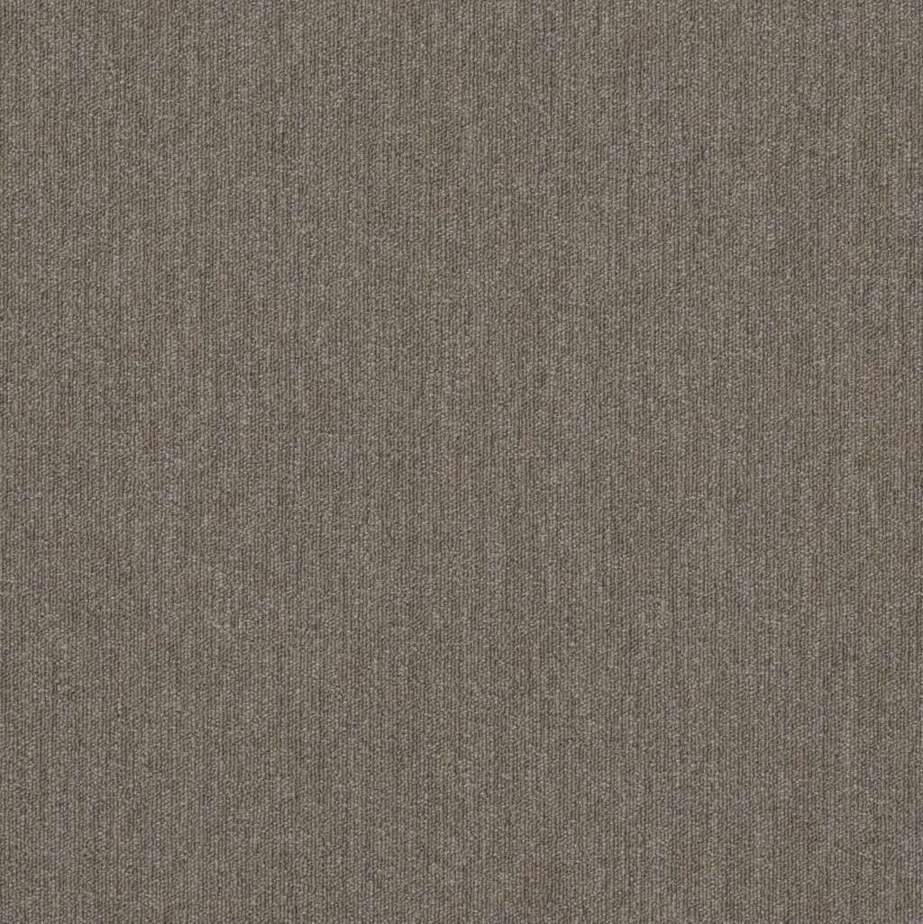 Shaw Beyond Limits 5th & Main 54936-00200 Prairie Carpet Tile
