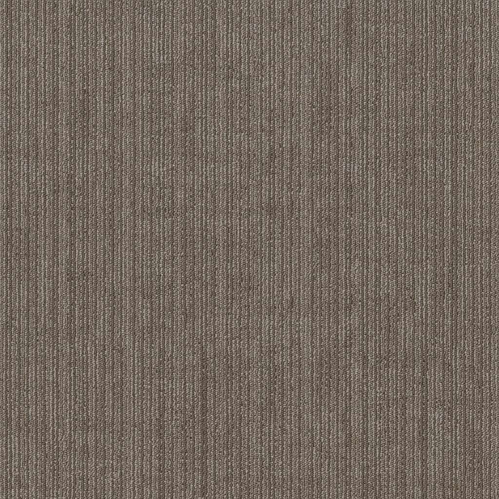 Shaw Native 54963-00100 Prime 24" X 24" Carpet Tile
