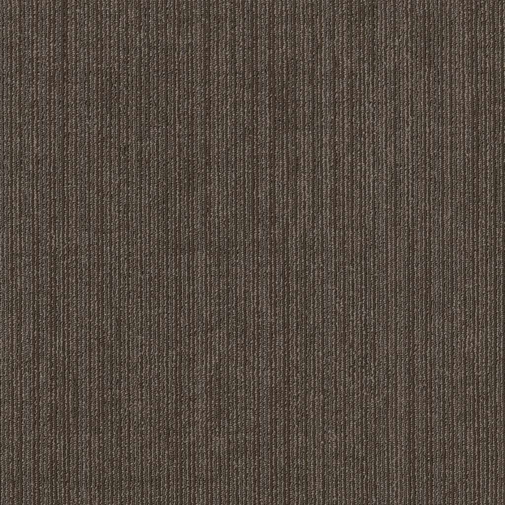 Shaw Native 54963-00200 Indigenous 24" X 24" Carpet Tile