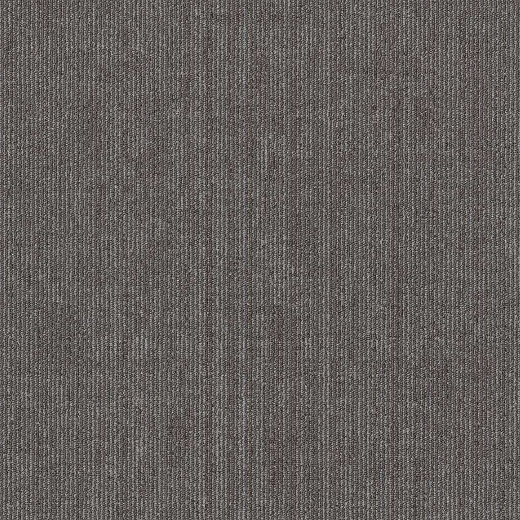 Shaw Native 54963-00500 Belonging 24" X 24" Carpet Tile