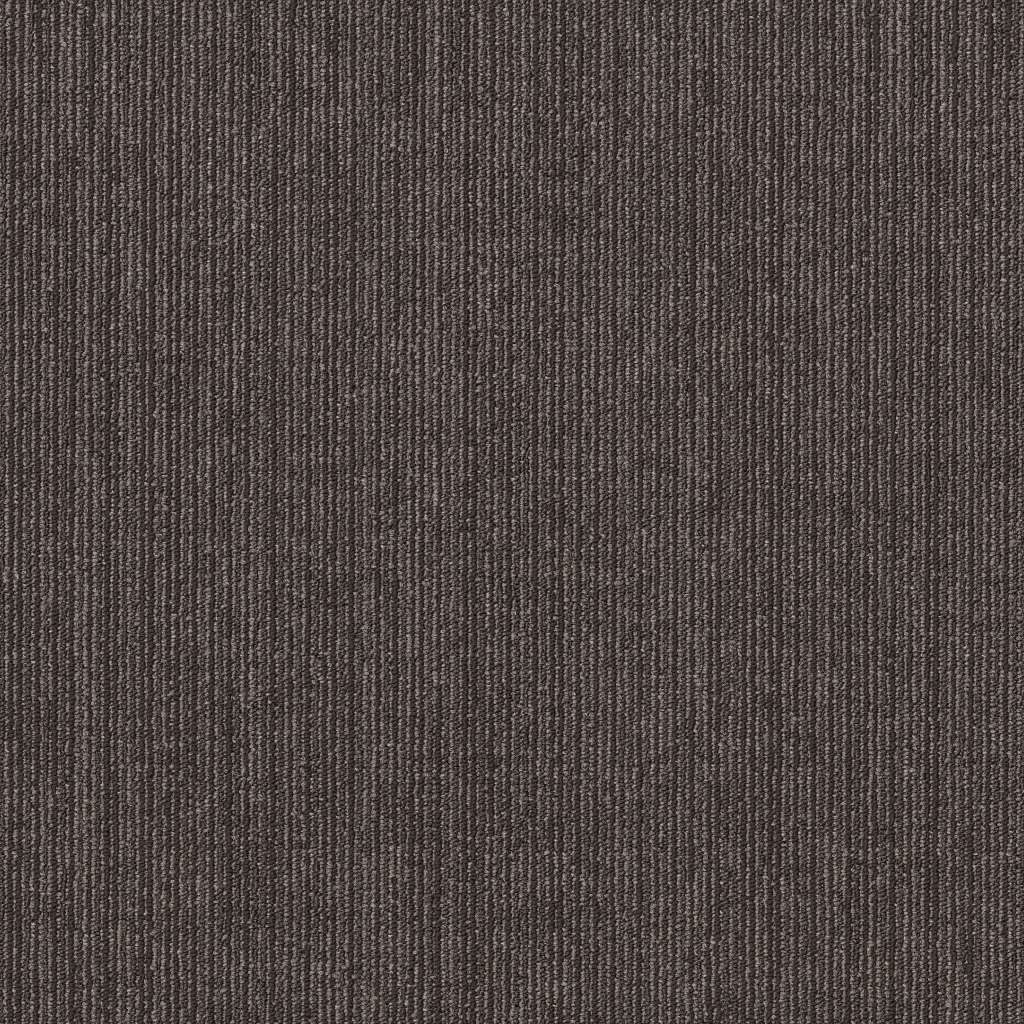 Shaw Native 54963-00700 Essential 24" X 24" Carpet Tile