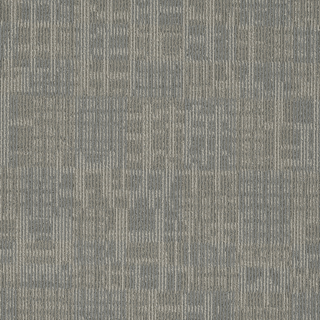 Pentz Carpet Techtonic 7042T-2179 Driver 24" X 24"