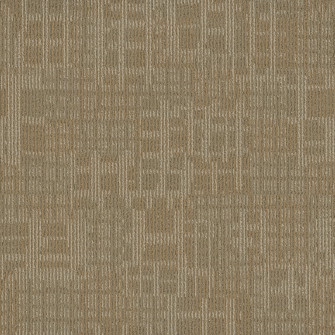 Pentz Carpet Techtonic 7042T-2173 Cache 24" X 24"