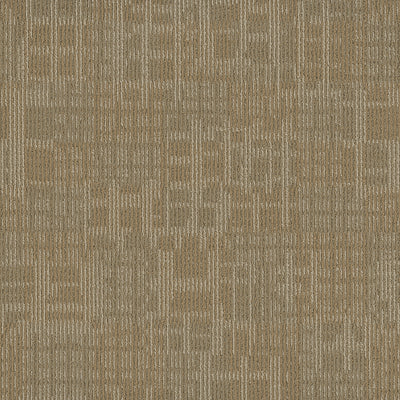 Pentz Carpet Techtonic 7042T-2173 Cache 24" X 24" (72 SF/Box)