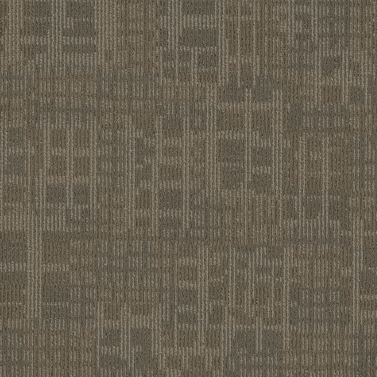 Pentz Carpet Techtonic 7042T-2177 Server 24" X 24"