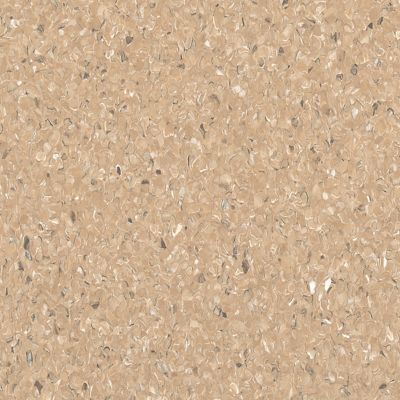 Armstrong Capricorn Beige 5A073 ColorArt Accolade Plus 6 ft. Sheet 6 ft x 0.08 in