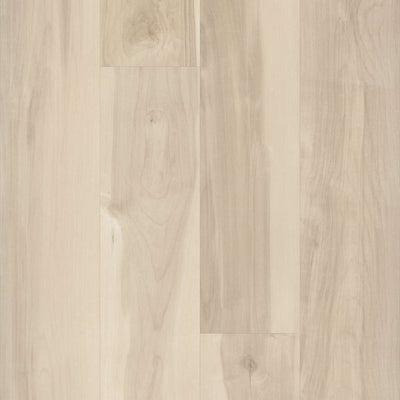 Shaw Symbiotic 12 5M302-01039 Nova 5.96" X 48" Vinyl Plank (41.72 SF/Box)