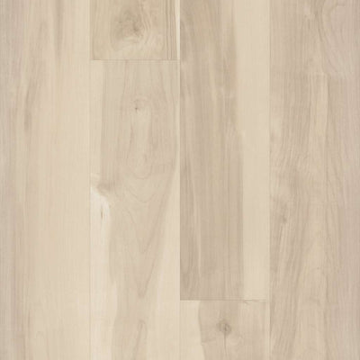 Shaw Symbiotic 20 5M303-01039 Nova 5.96" X 48" Vinyl Plank (41.72 SF/Box)