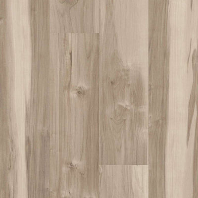 Shaw Symbiotic 5.0 5M308-07071 Capeview 6" X 48" Vinyl Plank (20 SF/Box)