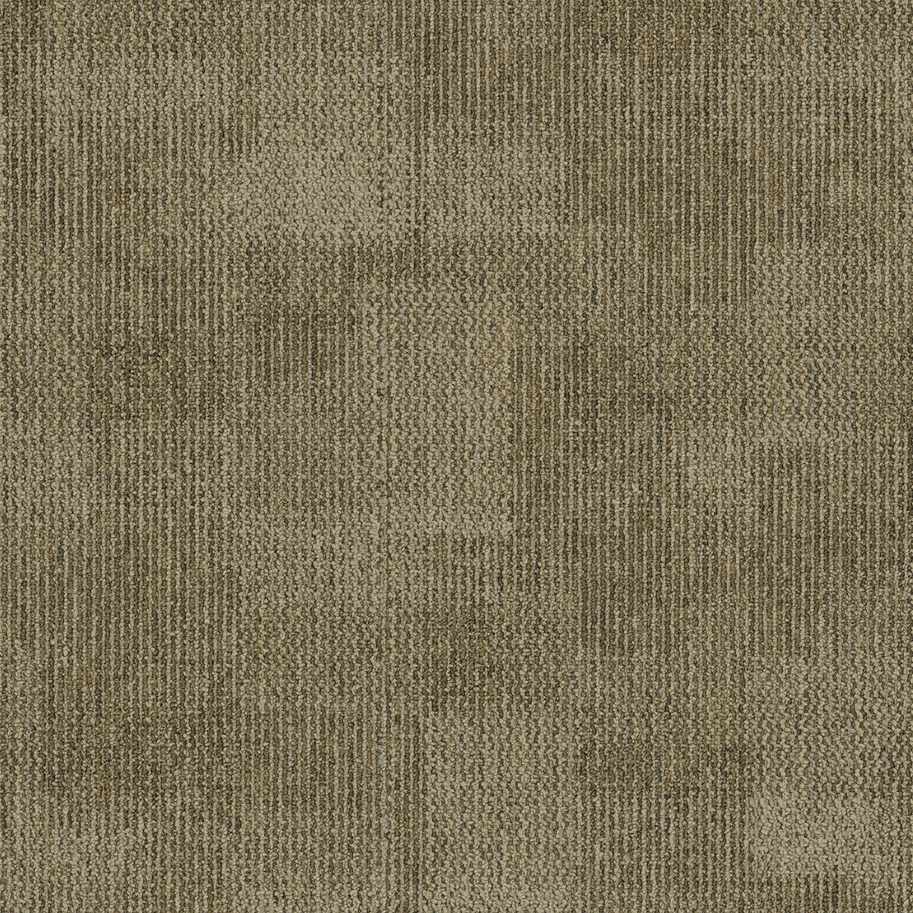 Pentz Carpet Revolution 7044T-1812 Shake-Up 24" X 24"