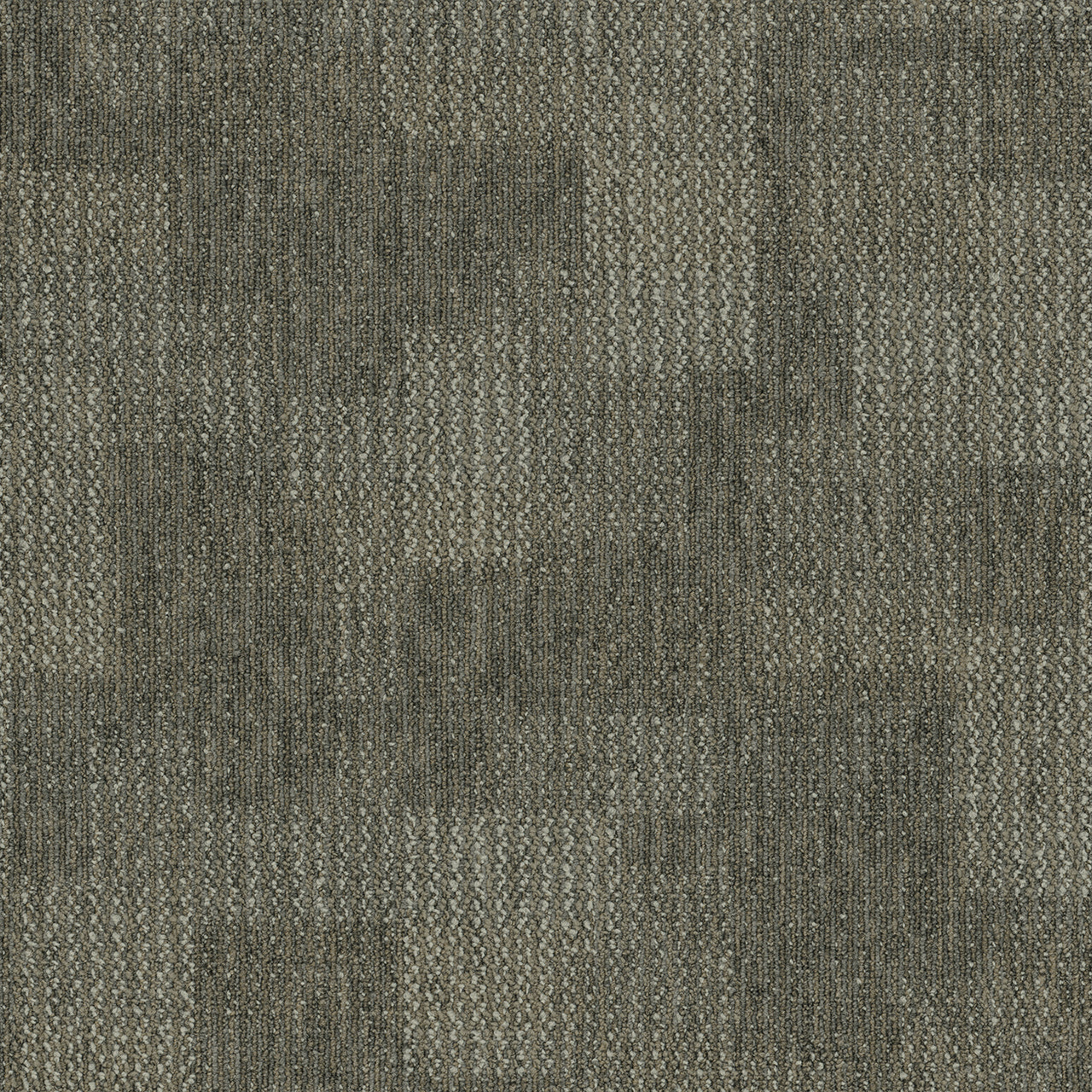 Pentz Carpet Revolution 7044T-1814 Mutiny 24" X 24"