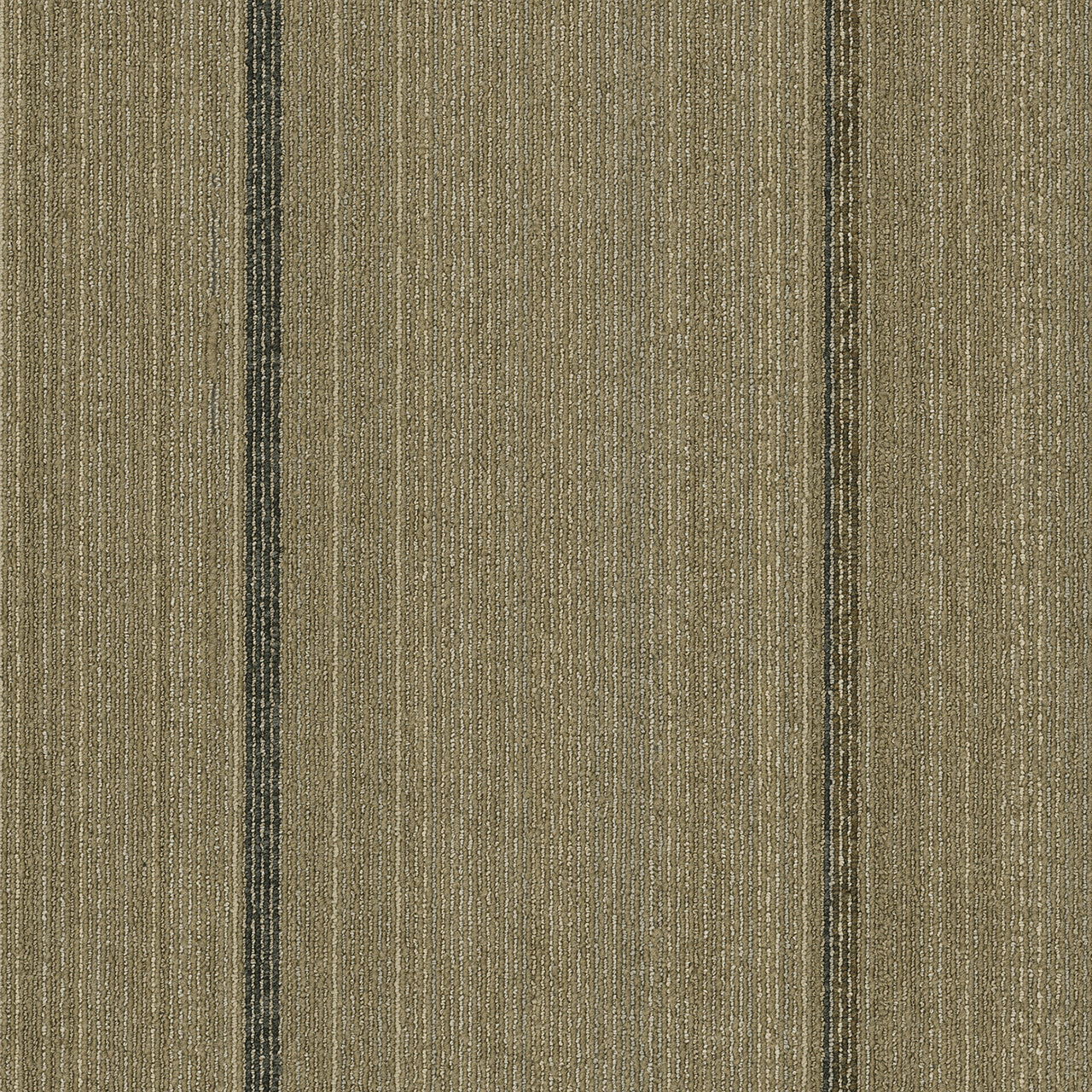 Pentz Carpet Revival 7043T-2211 Renewal 24" X 24"