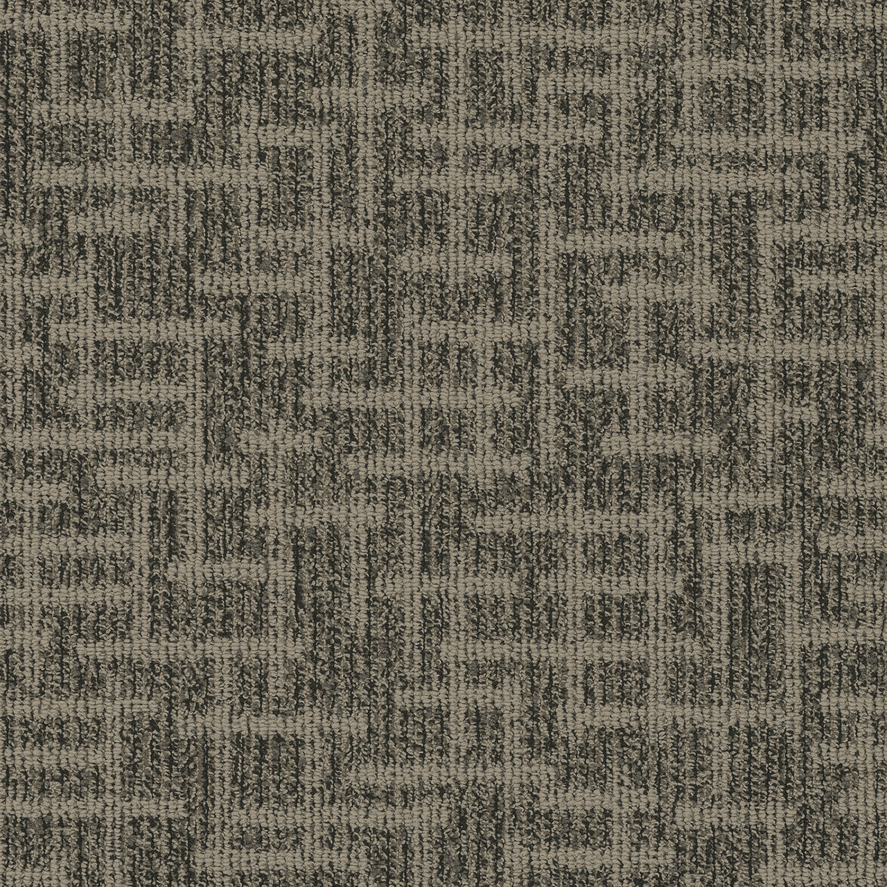 Pentz Carpet Integrity Tile 7034T-1889 Prescript 24" X 24"