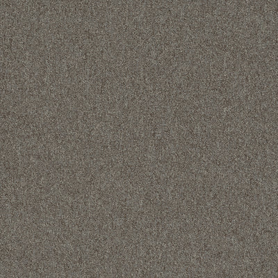 Pentz Carpet Diversified Tile 7037T-2042 Discrete 24" X 24" (72 SF/Box)