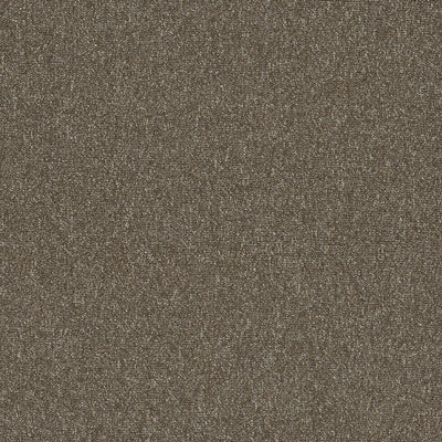 Pentz Carpet Diversified Tile 7037T-2044 Varied 24" X 24" (72 SF/Box)