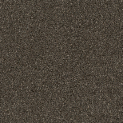 Pentz Carpet Diversified Tile 7037T-2050 Bizarre 24" X 24" (72 SF/Box)