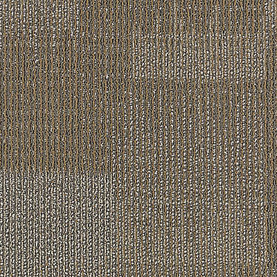 Aladdin Onward Bound Carpet Tile 2B58-858 Performance Driven 24" x 24"