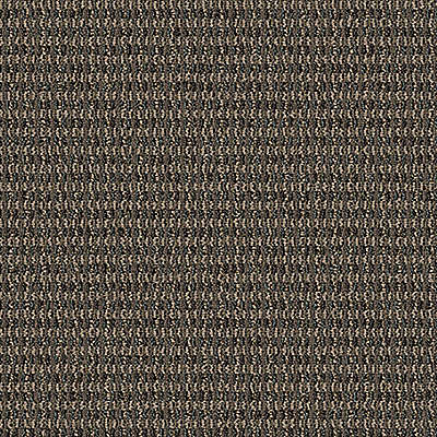 Aladdin Implore Carpet Tile QA128-859 Describe 24" x 24" (96 SF/Box)