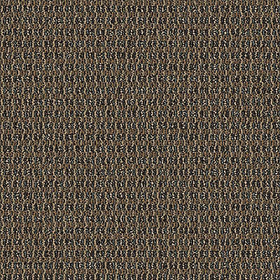 Aladdin Define Implore QA128-862 Persuade 24" x 24" Carpet Tile (96 SF/Box)