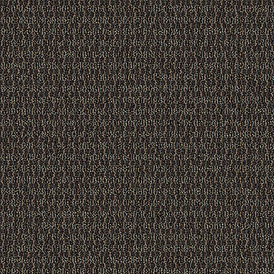 Aladdin Define Implore QA128-883 Adjure 24" x 24" Carpet Tile (96 SF/Box)