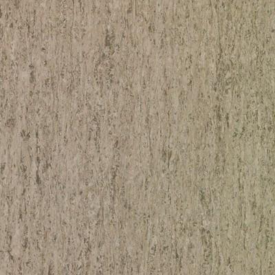 Tarkett iQ Optima TAR314013957 Impala 12" x 12" Homogeneous Tile