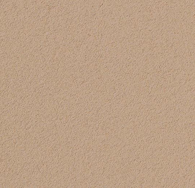 Forbo Bulletin Board Linoleum 2186 Blanched Almond Linoleum Sheet (72" Width)