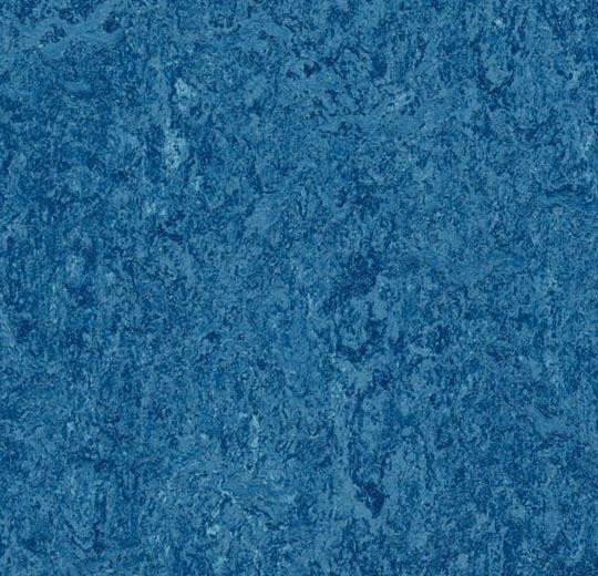 Forbo Marmoleum Real 3030 Blue Linoleum Sheet Flooring 
