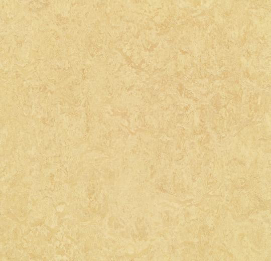 Forbo MCT (Marmoleum Composition Tile) 795 Butter 13.11" x 13.11" Eco-Friendly Linoleum Floor Tile