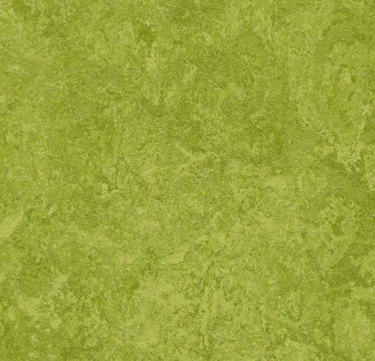 Sample of Forbo Mct 3247 Green