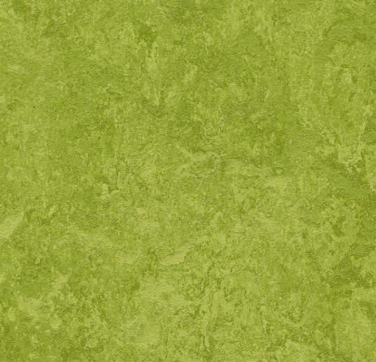 Forbo MCT (Marmoleum Composition Tile) 3247 Green 13.11" x 13.11" Eco-Friendly Linoleum Floor Tile