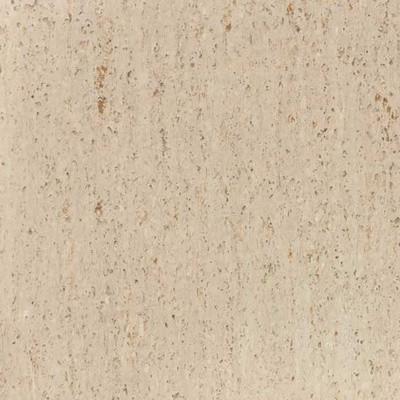 Sample of Johnsonite 821 Optima Tile Frothy Latte