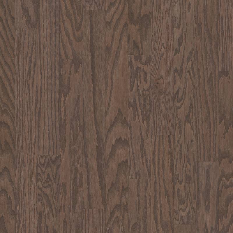 Shaw Albright Oak 3.25 Kona LG SW581-07091 3.25" x Multi