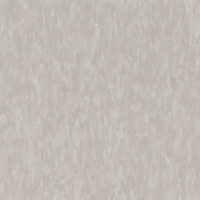 Armstrong Migrations T3503 Ashen Gray 12" x 12" Bio-Based Tile (45 SF/Box) (Warehouse #2)